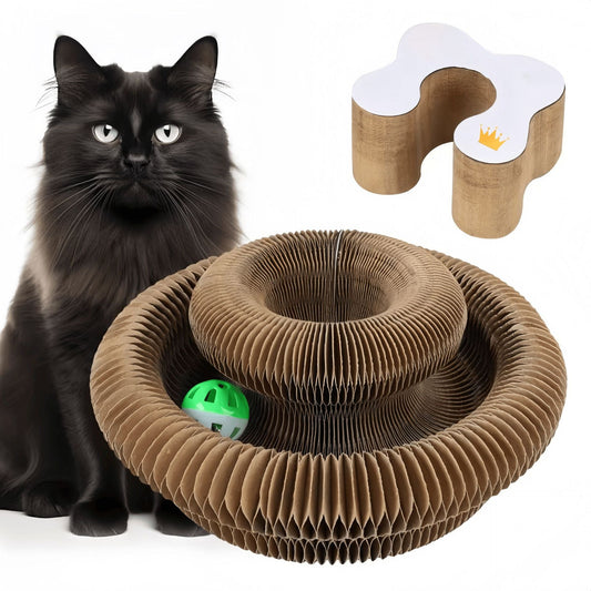 CATTON™0193|Duurzame accordeon kattenkrabber en nest – Niet-verharend, leuk en onmisbaar kattenspeeltje