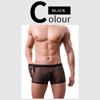 🔥2025 vente chaude maille transparente grande taille entièrement transparente boxer sexy