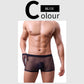 🔥2025 vente chaude maille transparente grande taille entièrement transparente boxer sexy