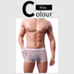 🔥2025 vente chaude maille transparente grande taille entièrement transparente boxer sexy