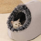💥Offre spéciale 🐶🐱Lit grotte confortable et chaud pour animaux de compagnie