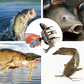 um alicate de pesca com pinça metálica para controlo de peixe
