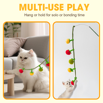 ✨Filet à chat interactif en forme de fruit