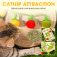 ✨Filet à chat interactif en forme de fruit
